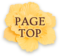 PAGE TOP